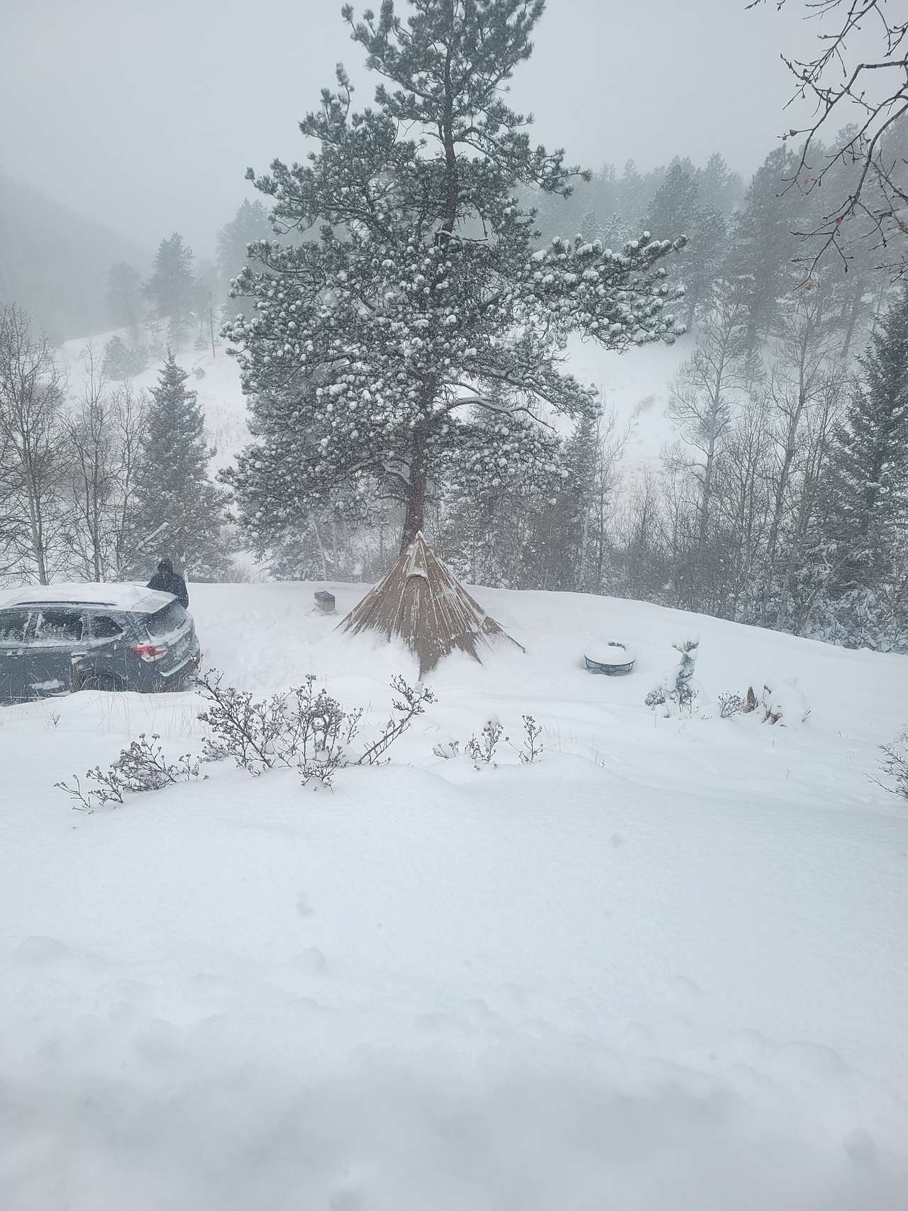 We are open year round if you would like to experience winter camping.
With the proper gear, the experience is magical 