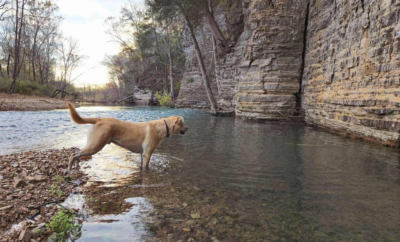 The Bluffs At Tumbling Creek