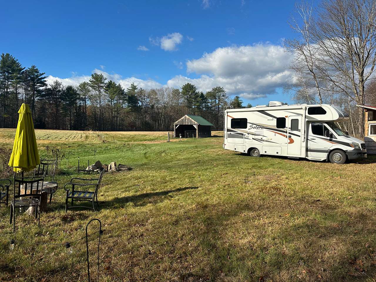 Camp Frogginton