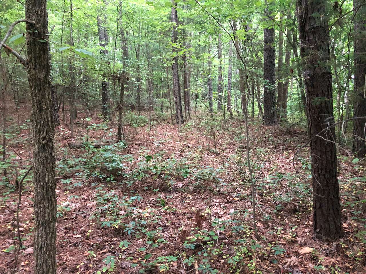 Fox Creek Animal Lodge, LLC