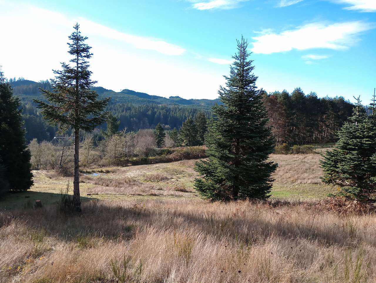 Woodland Hills Ranch