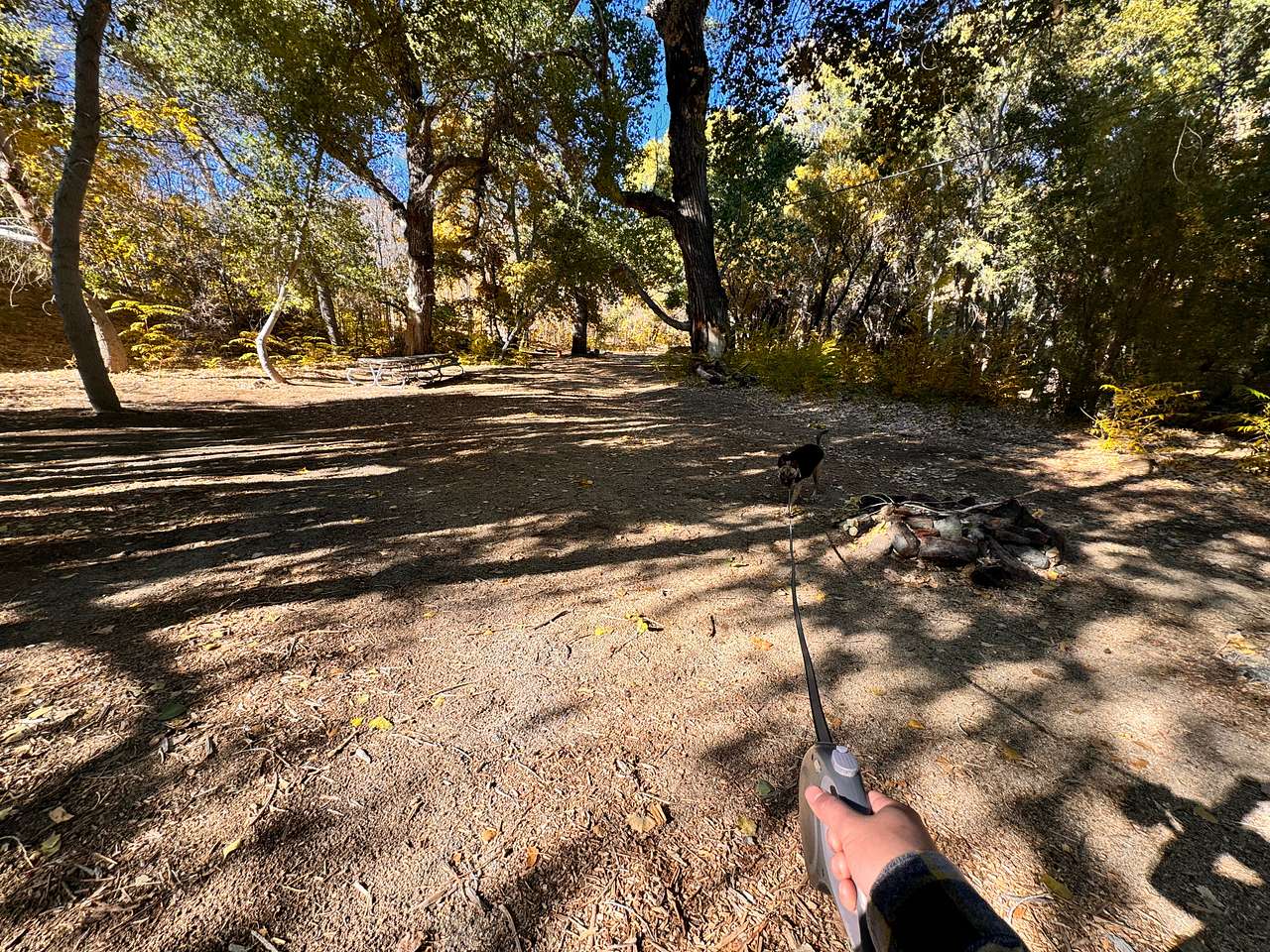 Banner Ranch Julian