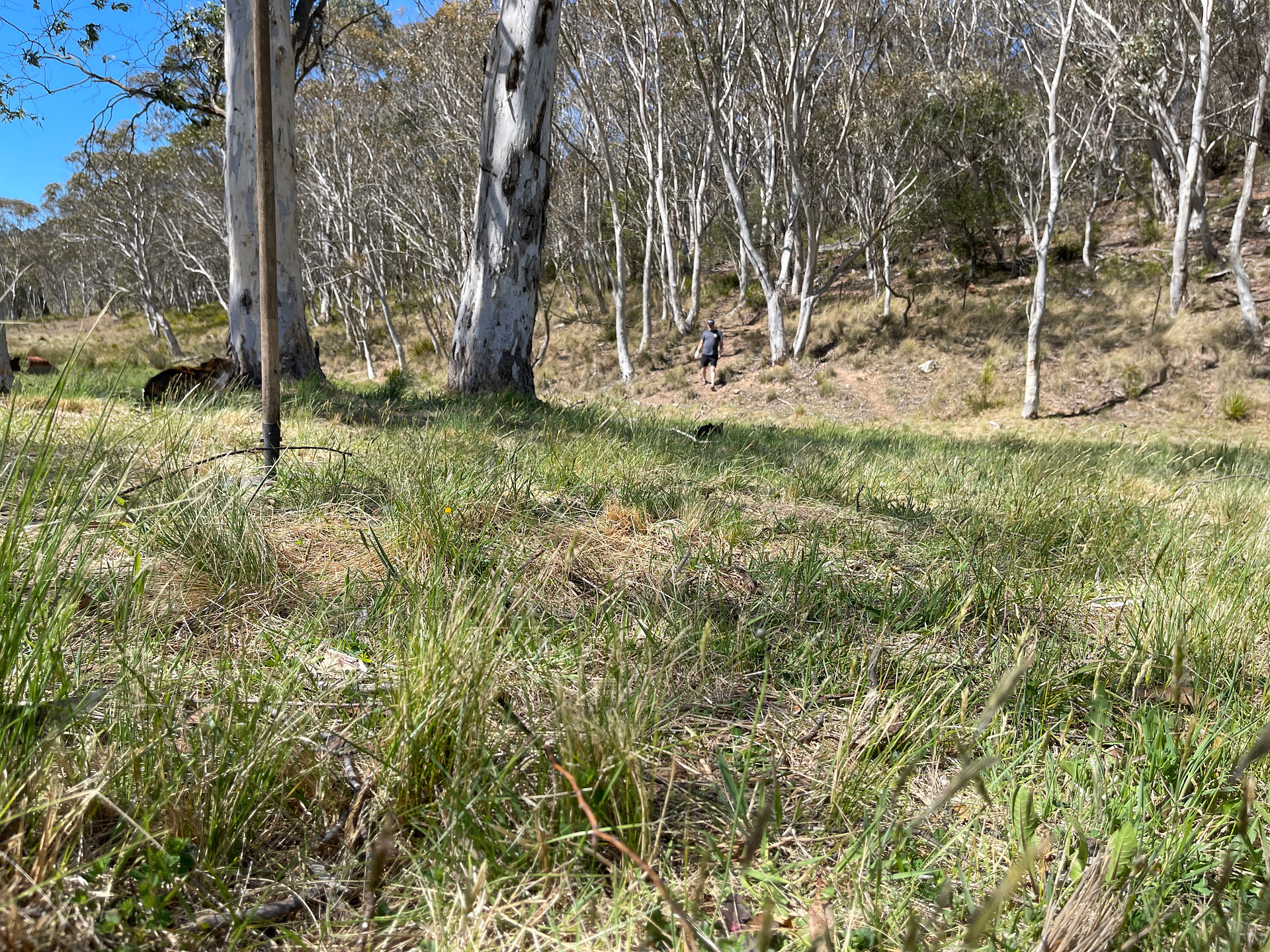 Spring Valley Lifestyle Retreat