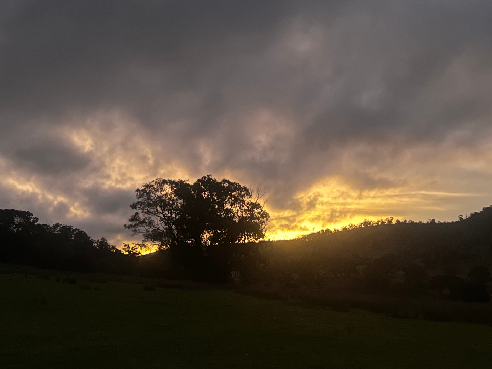 Craigview