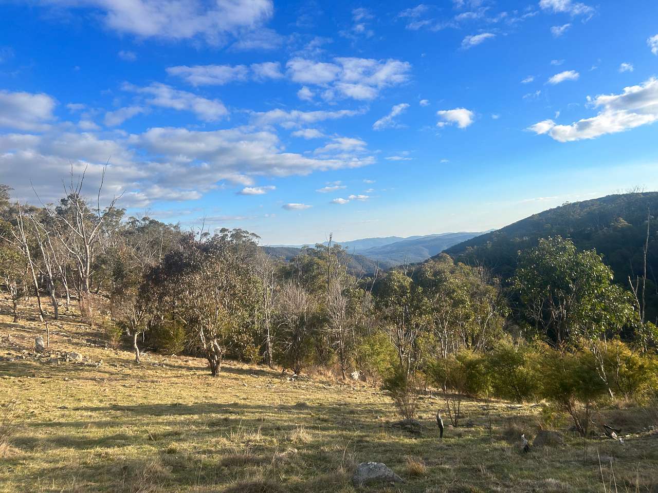 Craigview