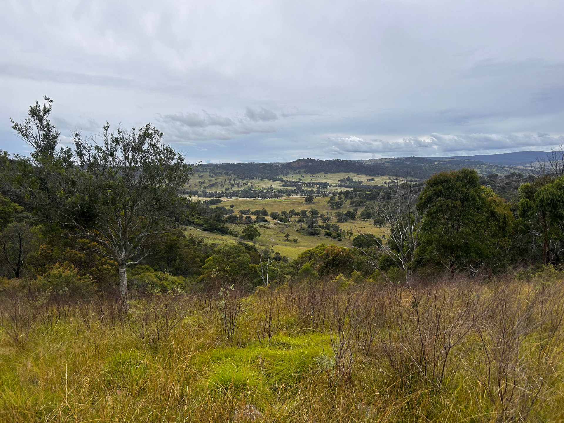 Craigview