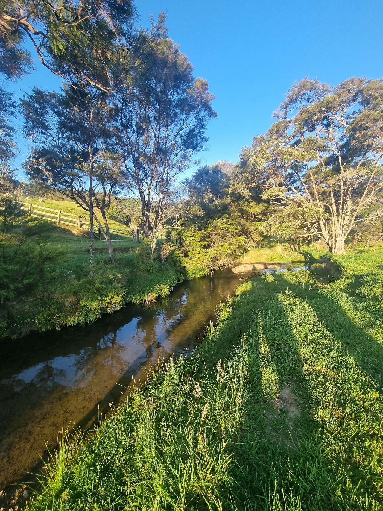 Dream Weavers Farm