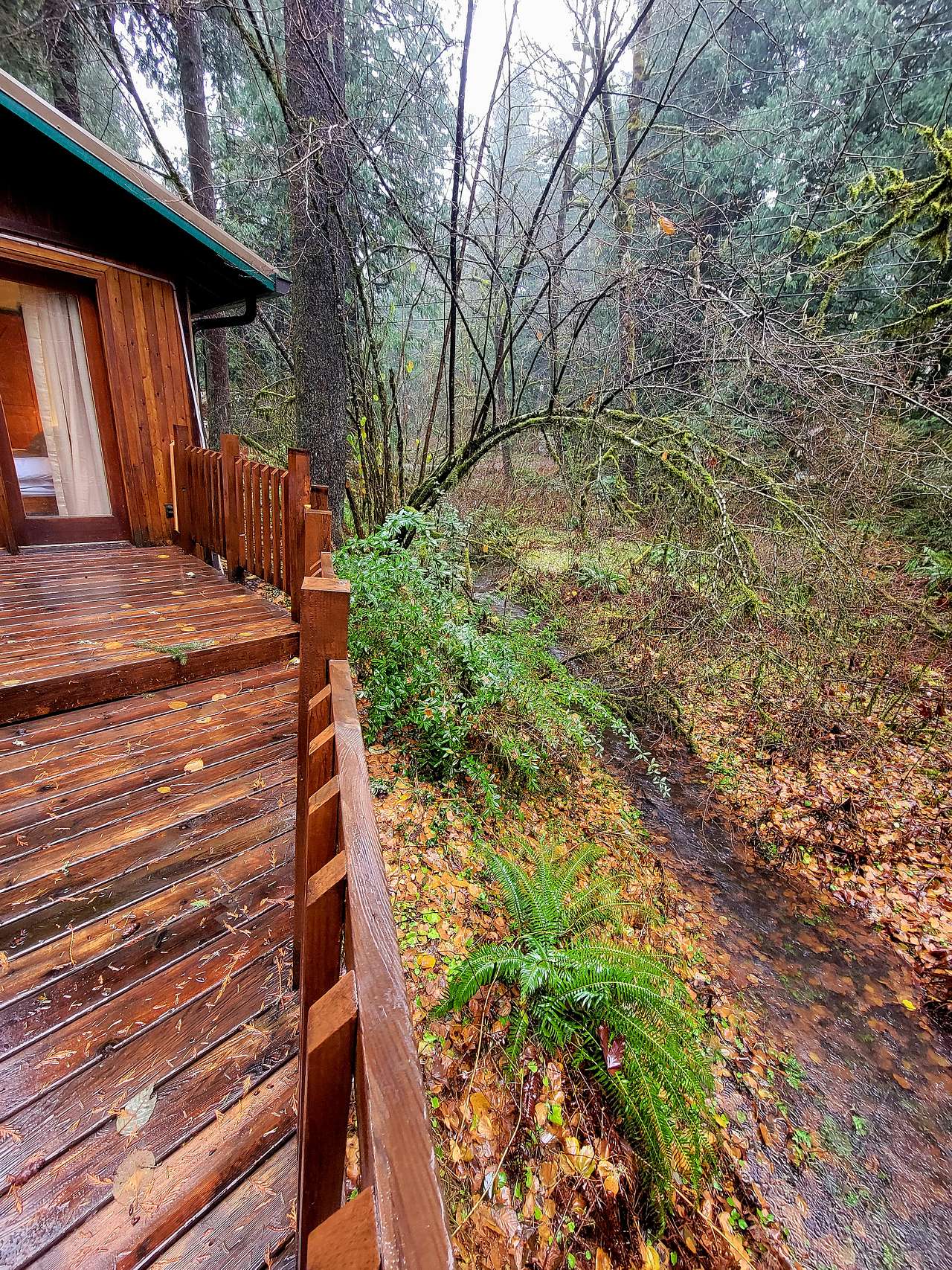 Fernwood Cabin Mountain Getaway