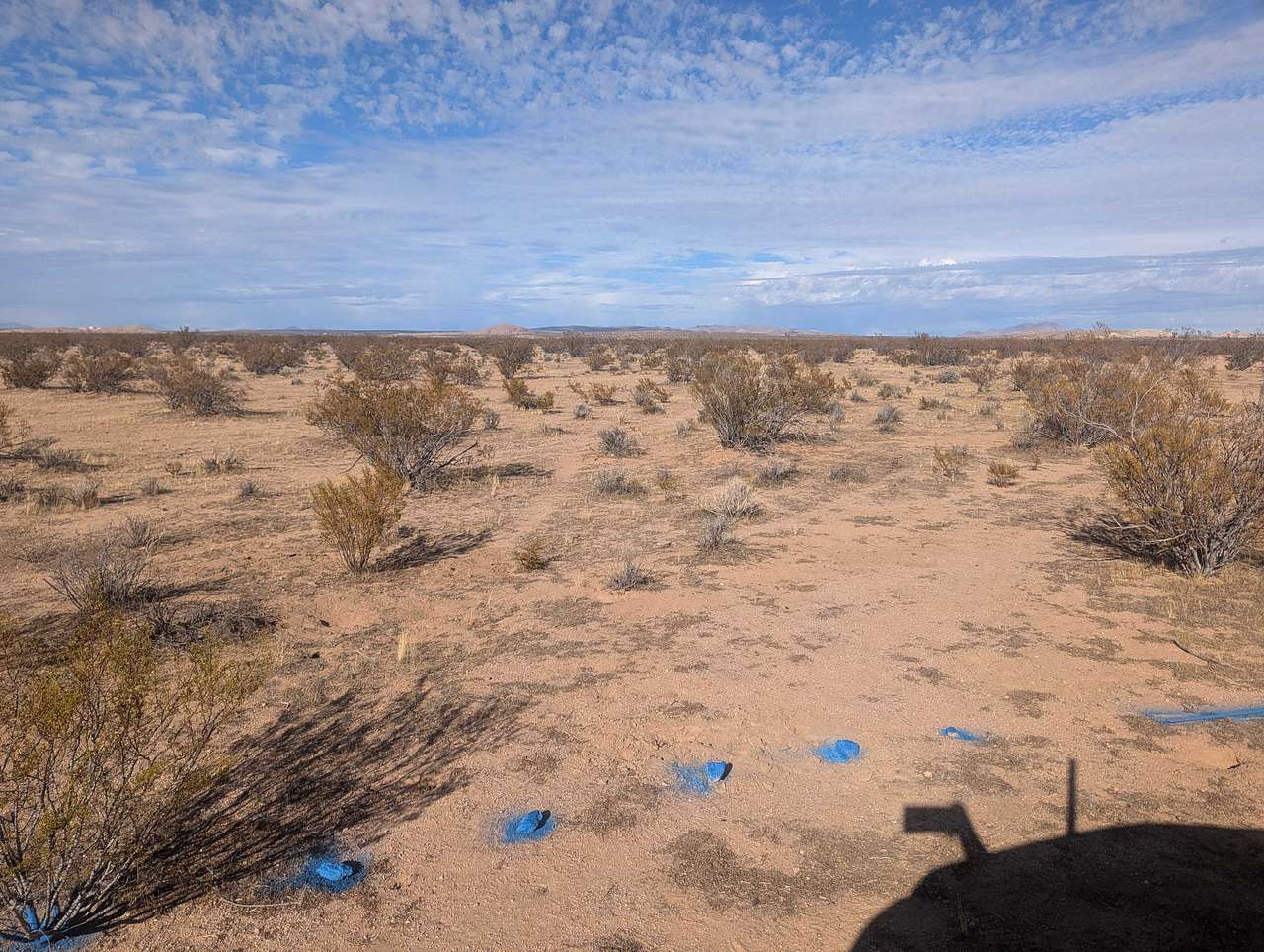 Desert Stargazers Dream