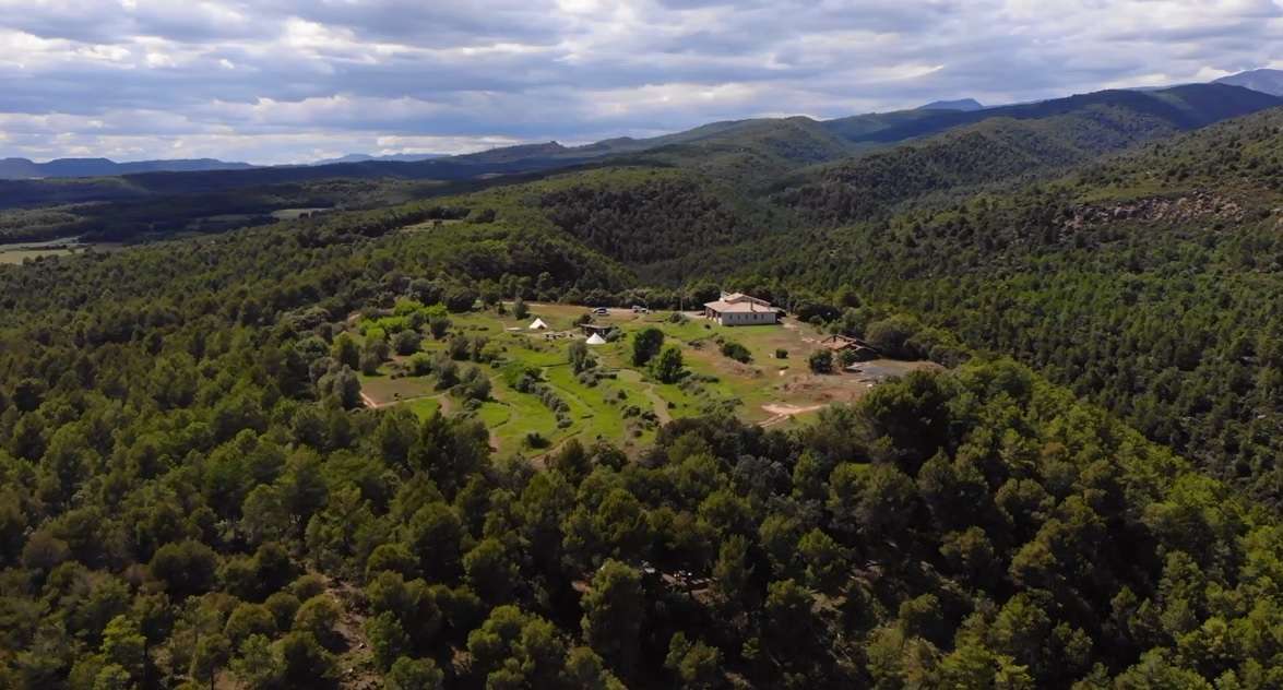 Forest Days Wild Camp