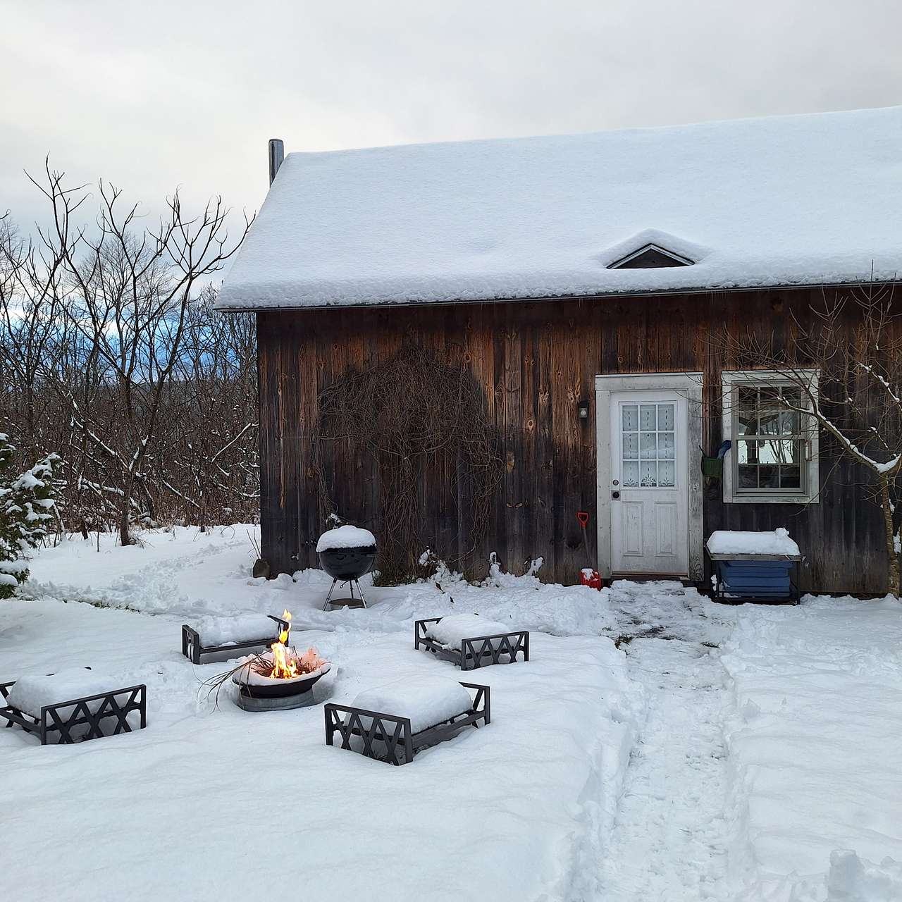Halfpipe Farm