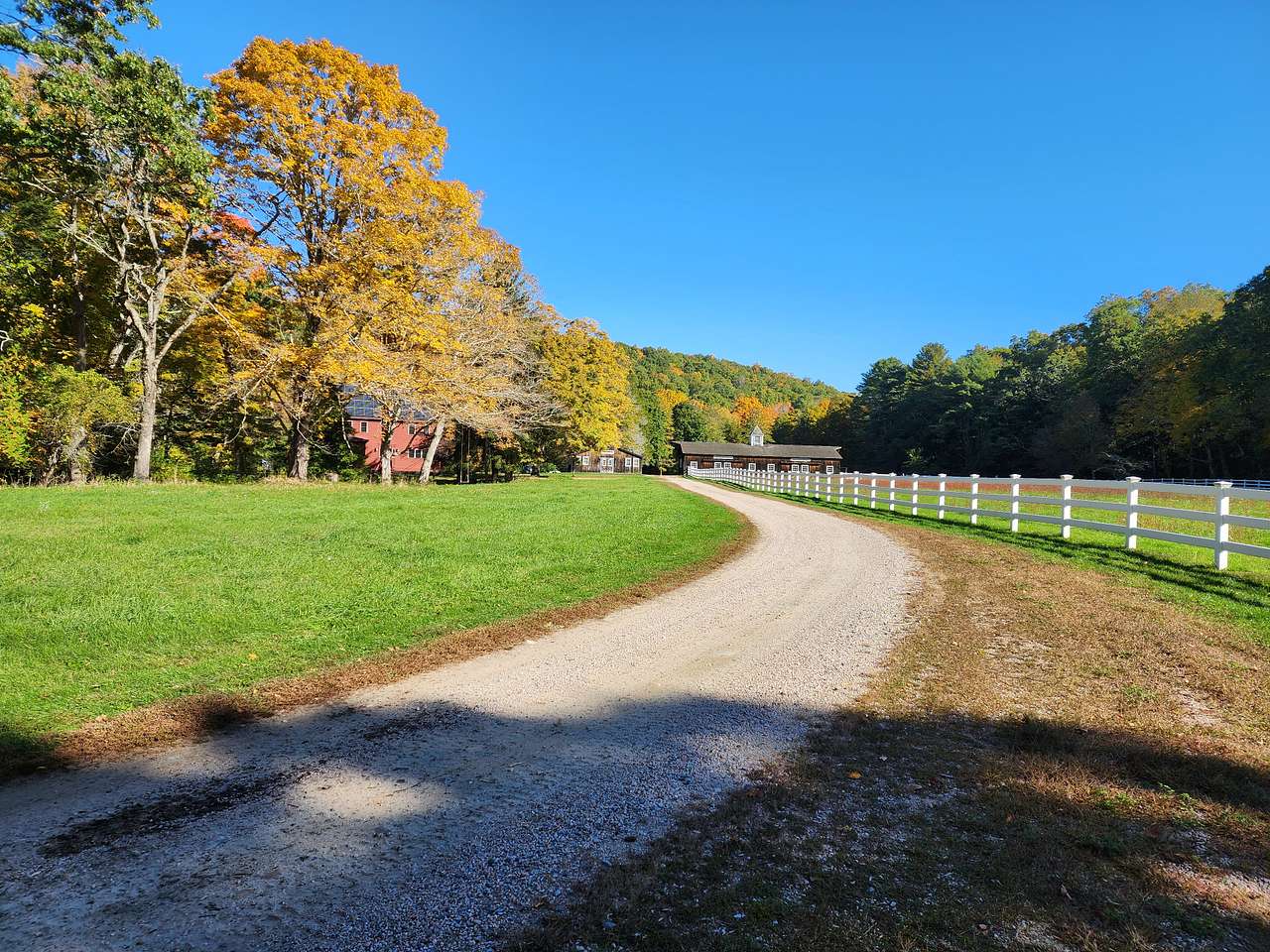 Zichichi Family Farm