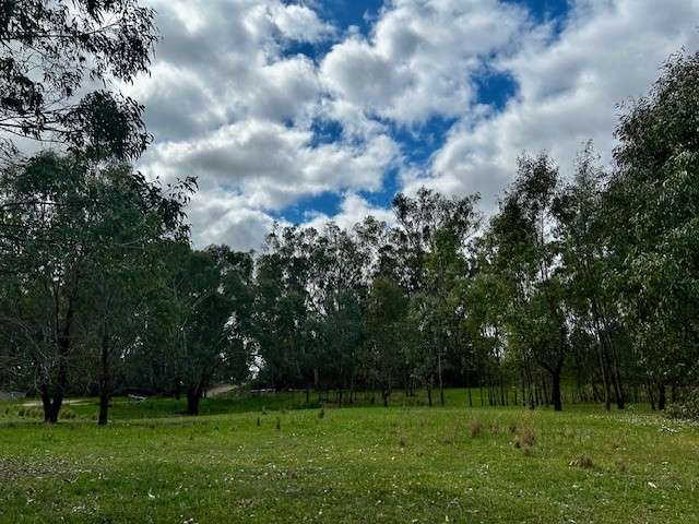 Amaroo On McLays