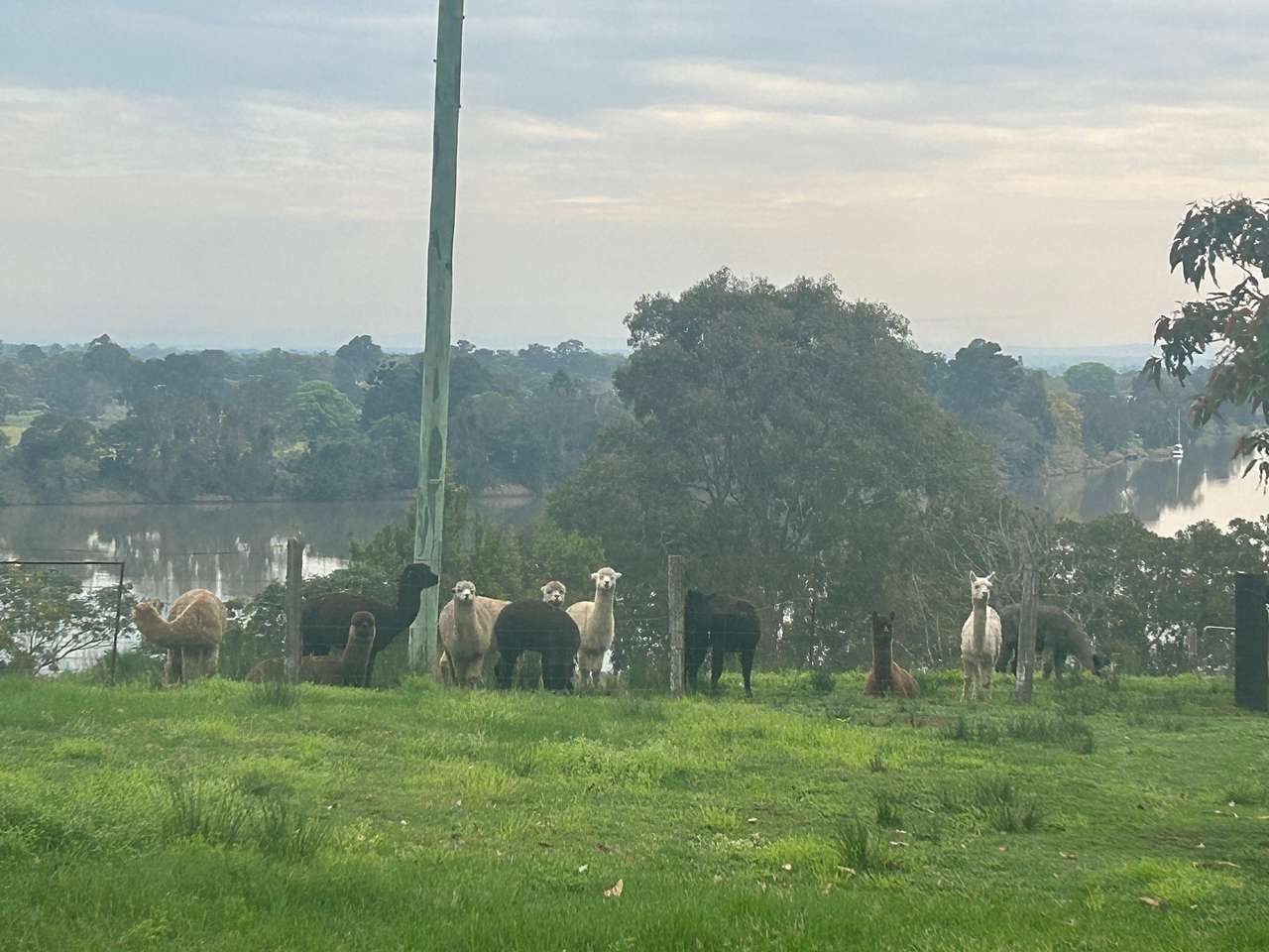 Schlaraffenland