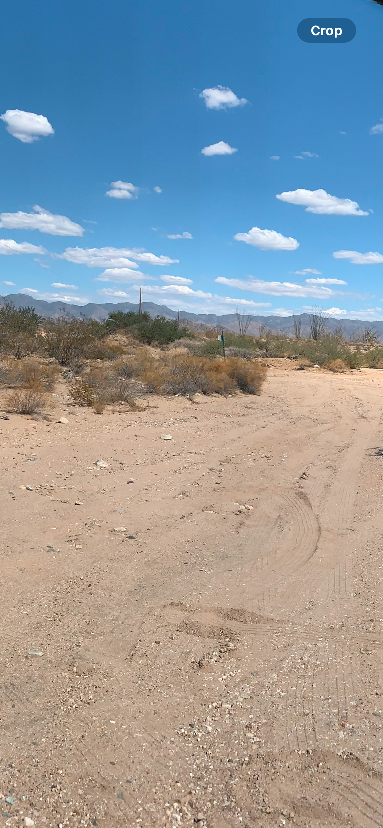 Ruby Road Desert Camp