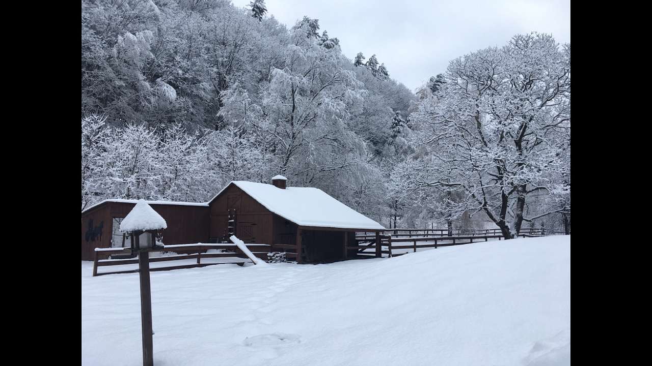 Lycoming Creek Escapes