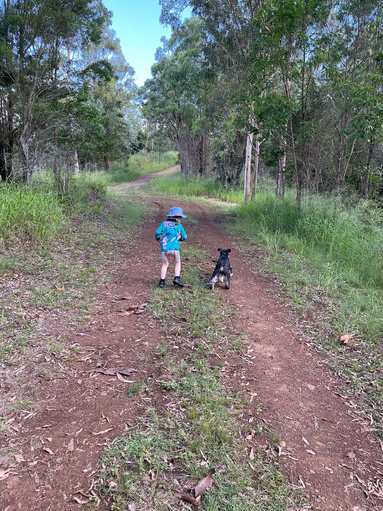 Somerset Dam Private Bush Camp