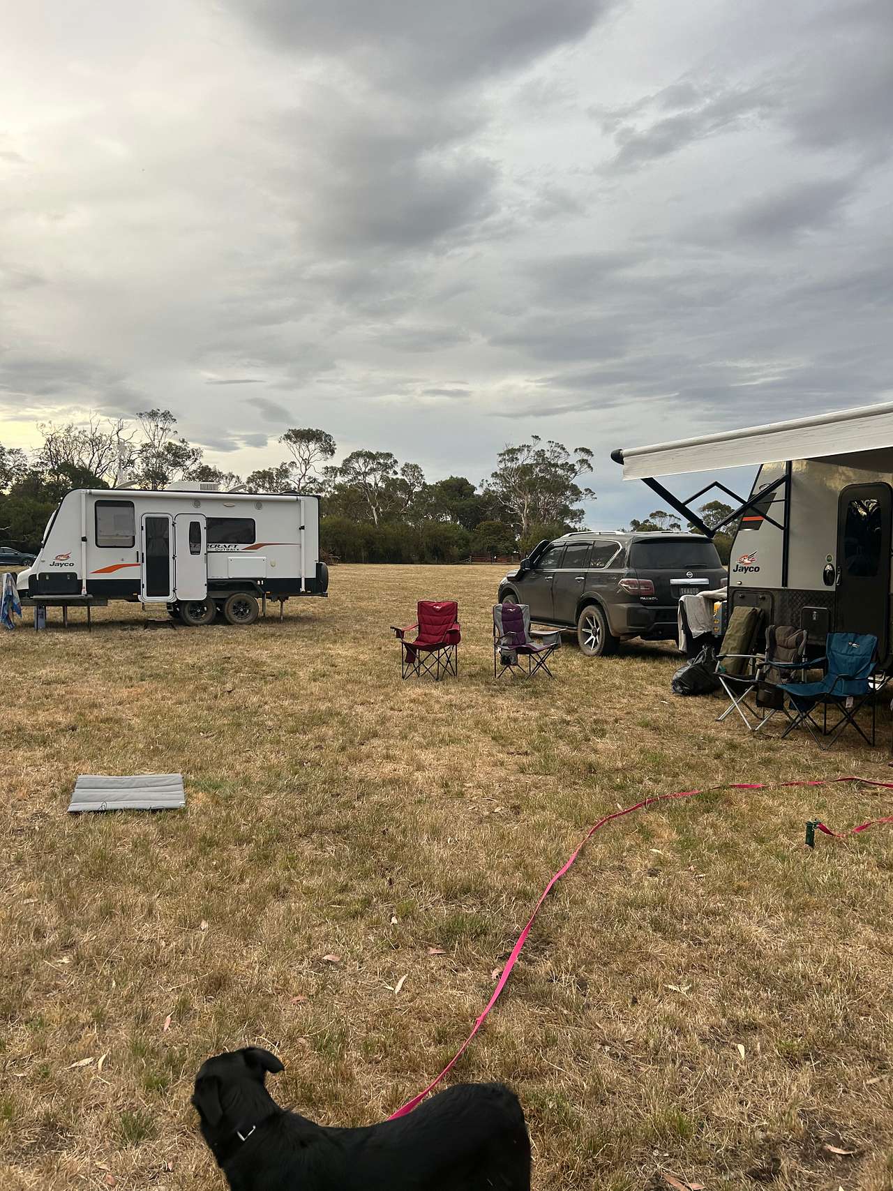 Pappins Paddock