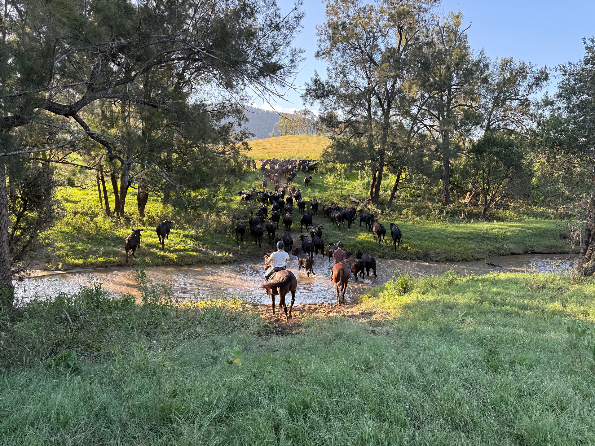 Juburra Country Camping