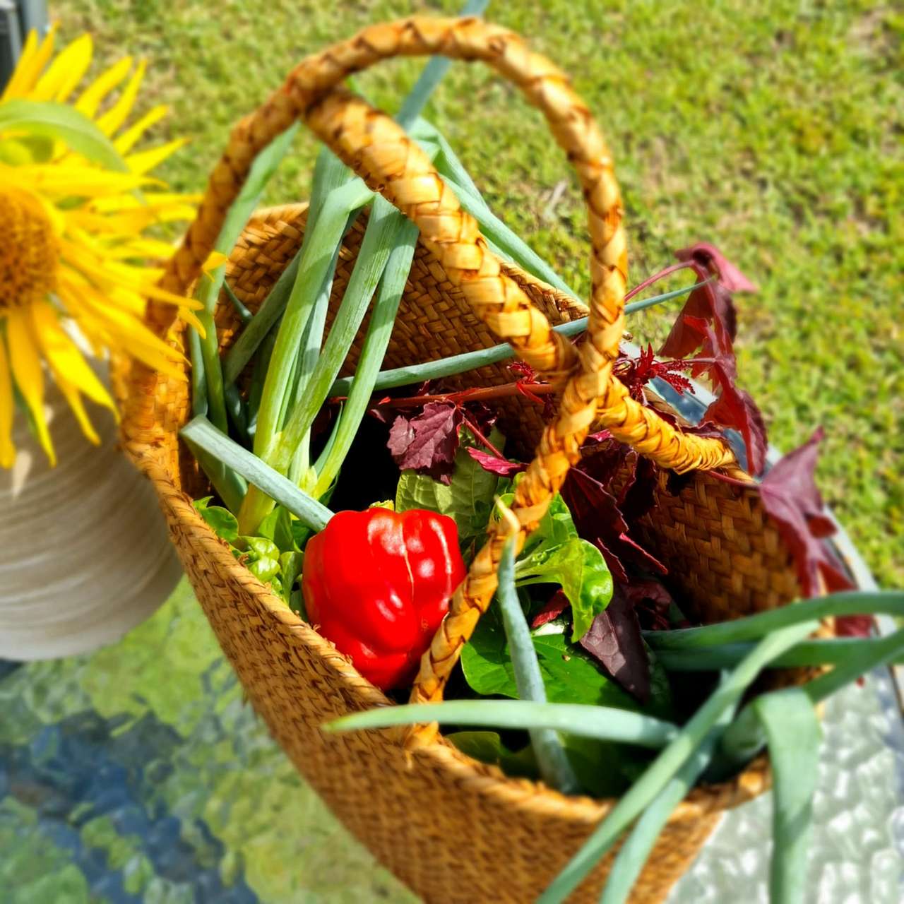 You are welcome to forage through our vegetable garden to add to your cooking