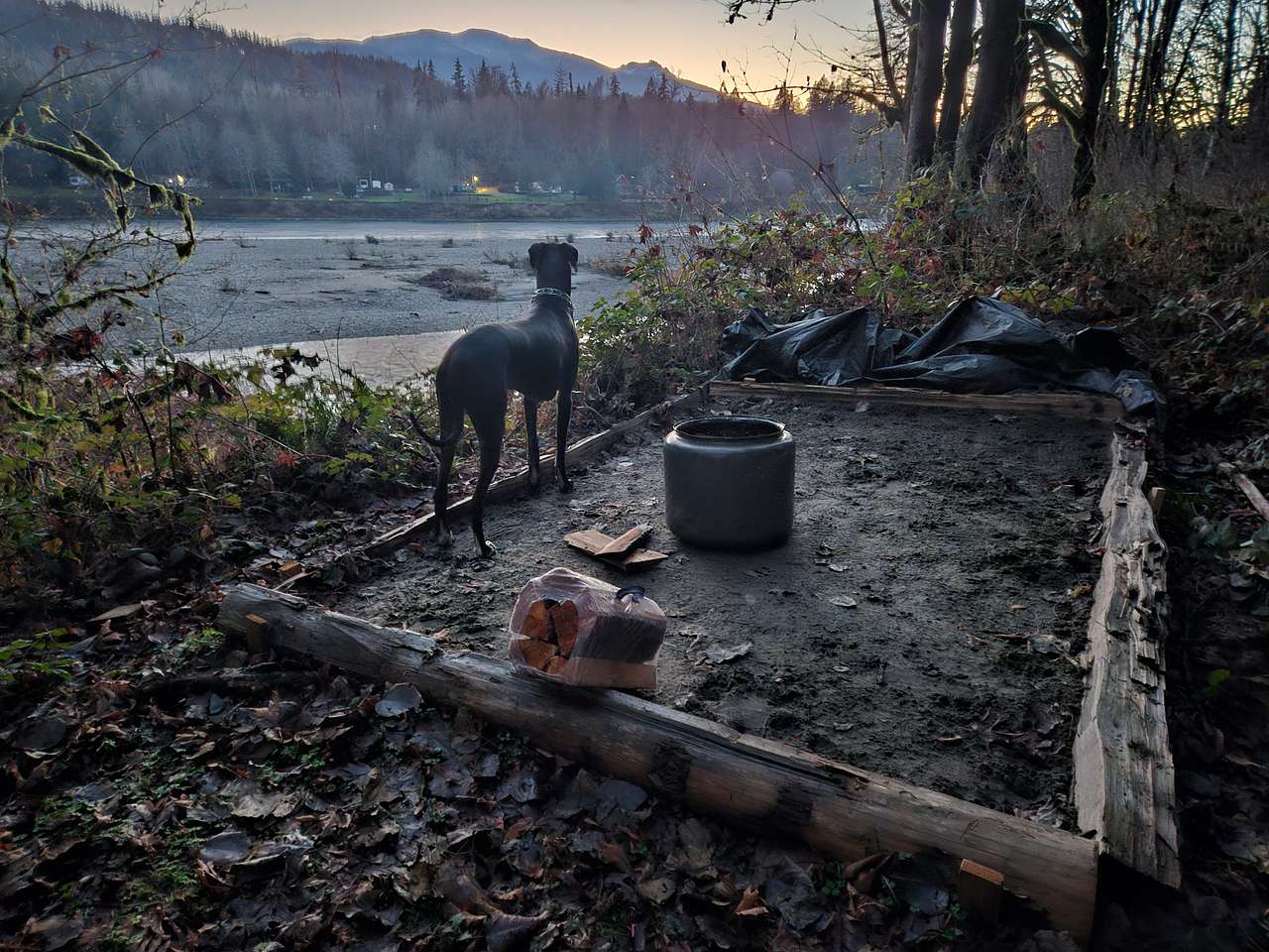 Sauk View Woods