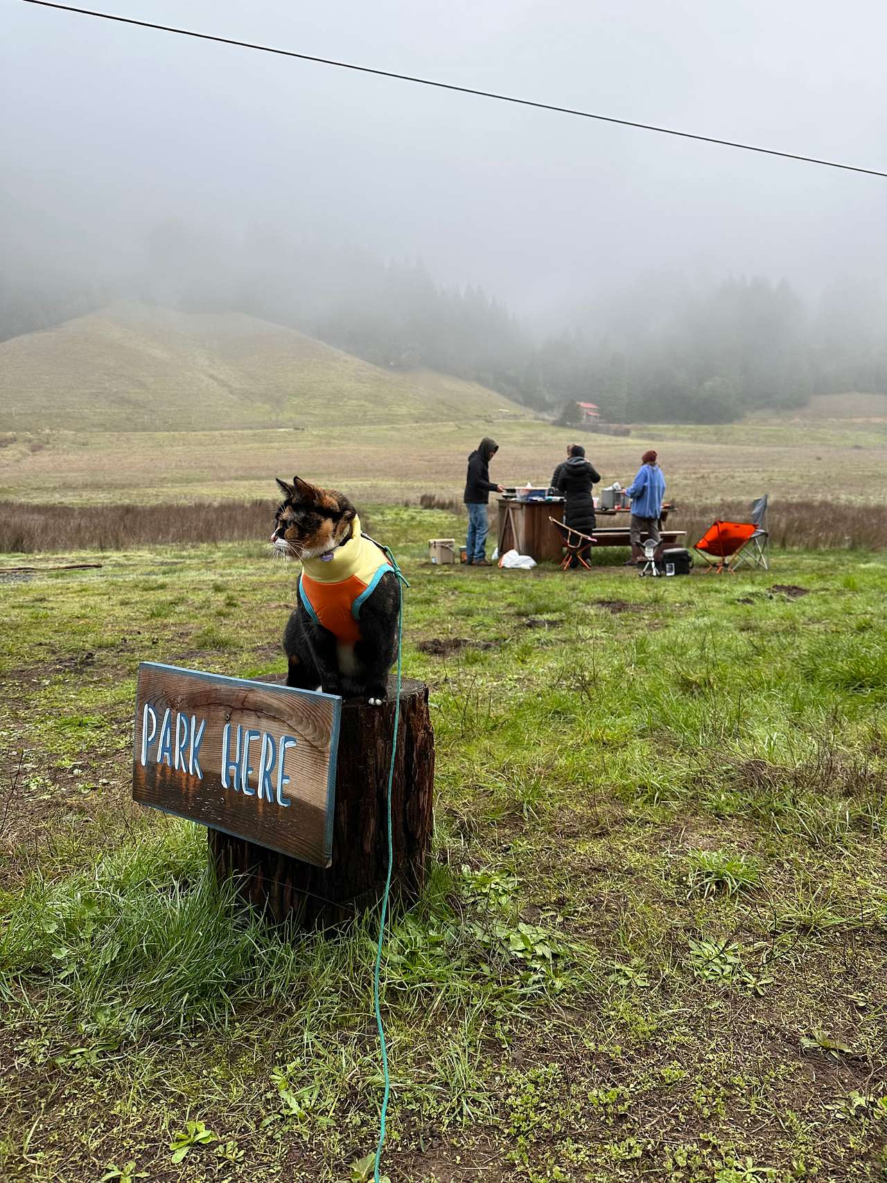 Otter Valley Farm