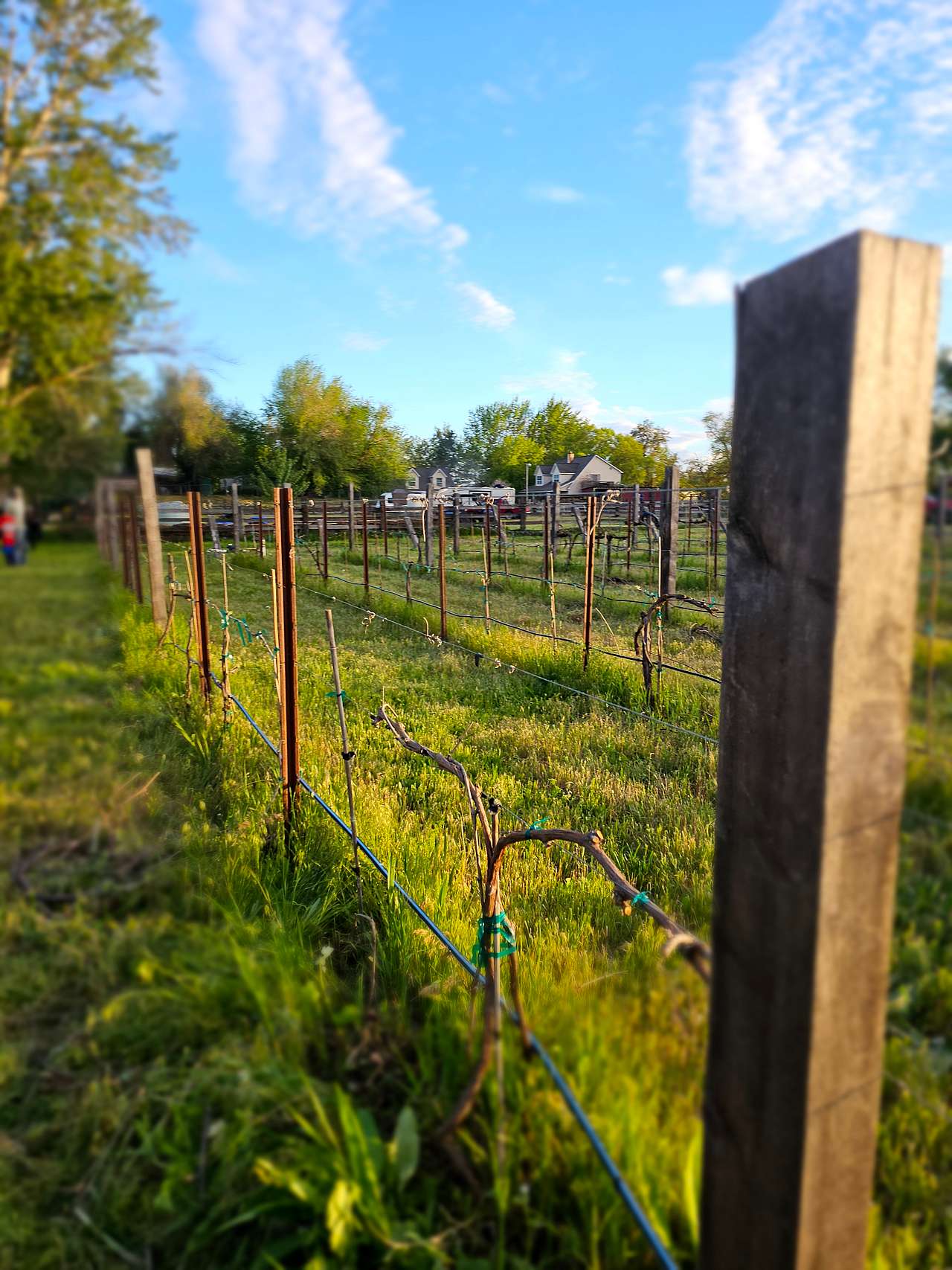 Echo River Farms