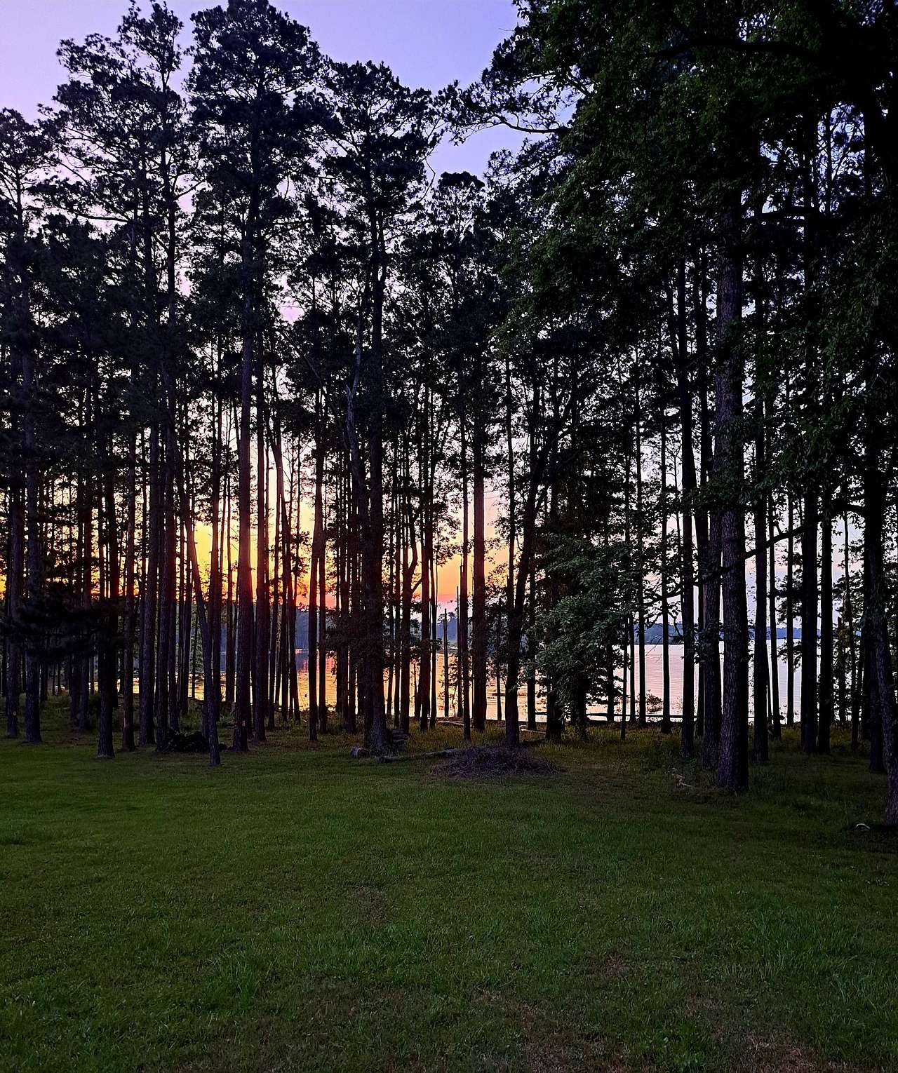 The Knotty Pine on Lake O the Pines