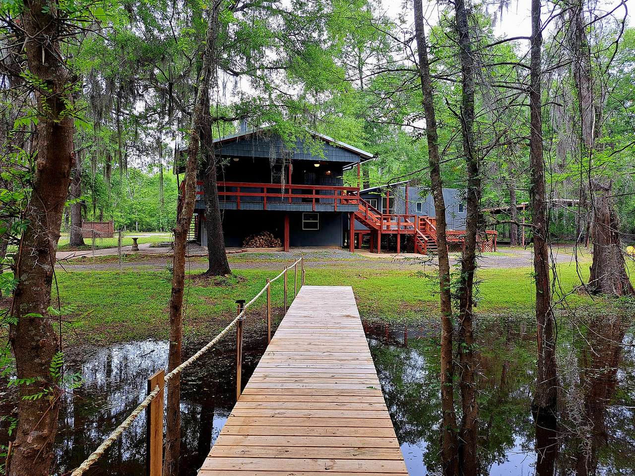 The Knee Knocker on Caddo Lake