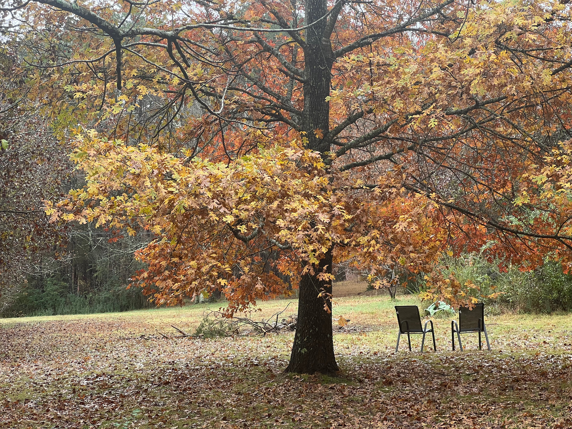 Pickwick Adventure Camping