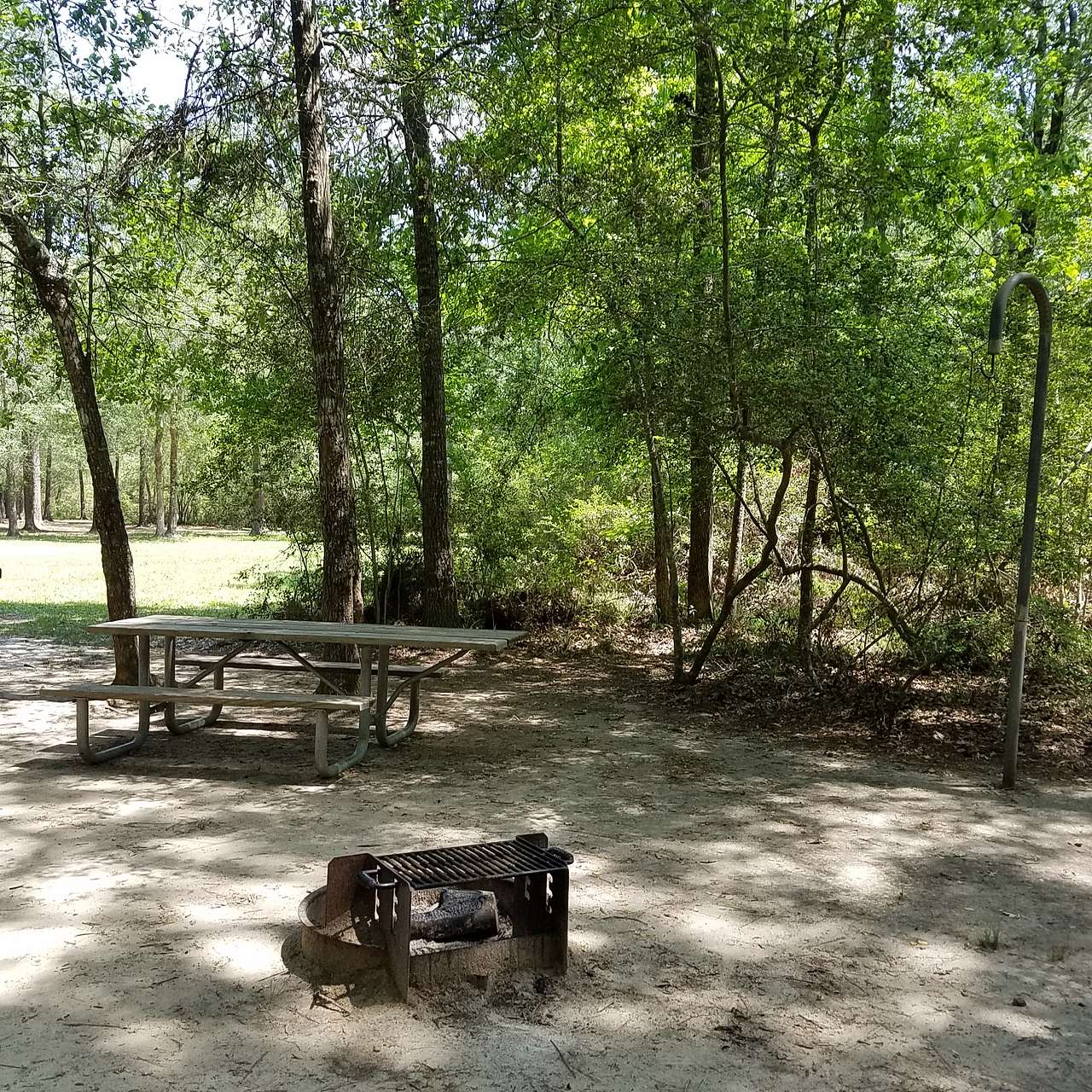 Lake Houston Park Magic By Shell