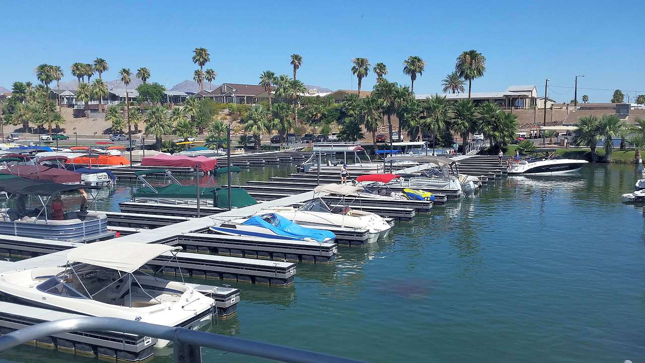 Havasu Landing Resort