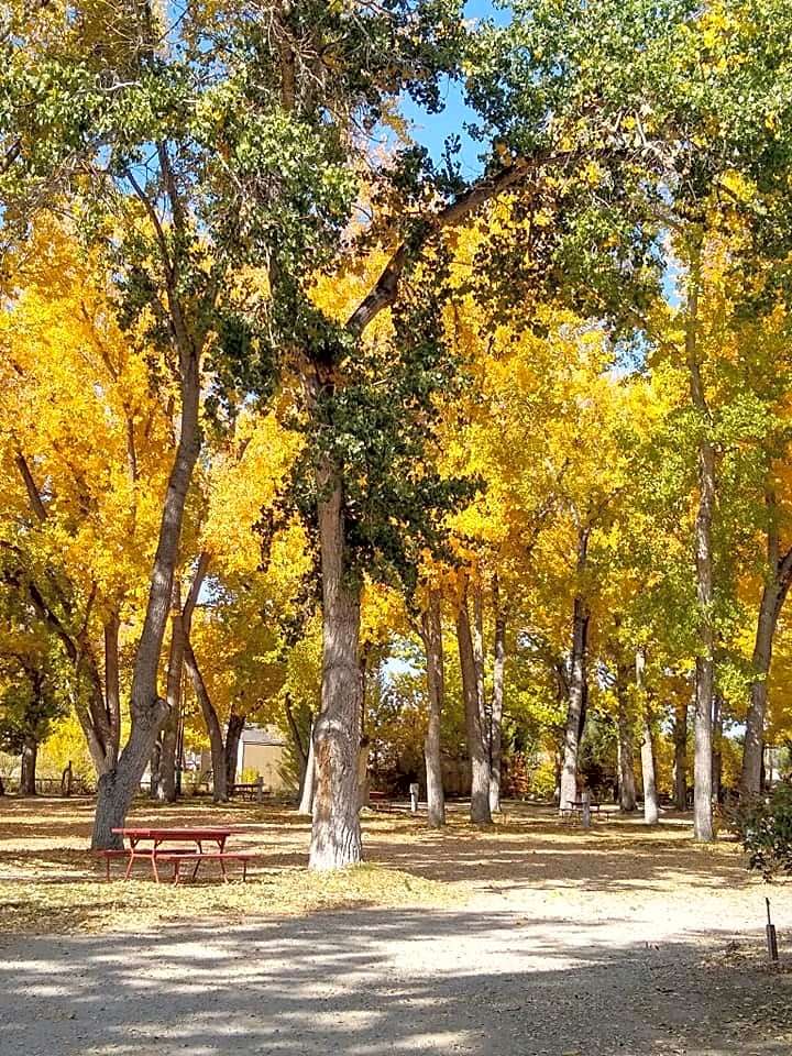 Indian Campground & RV Park