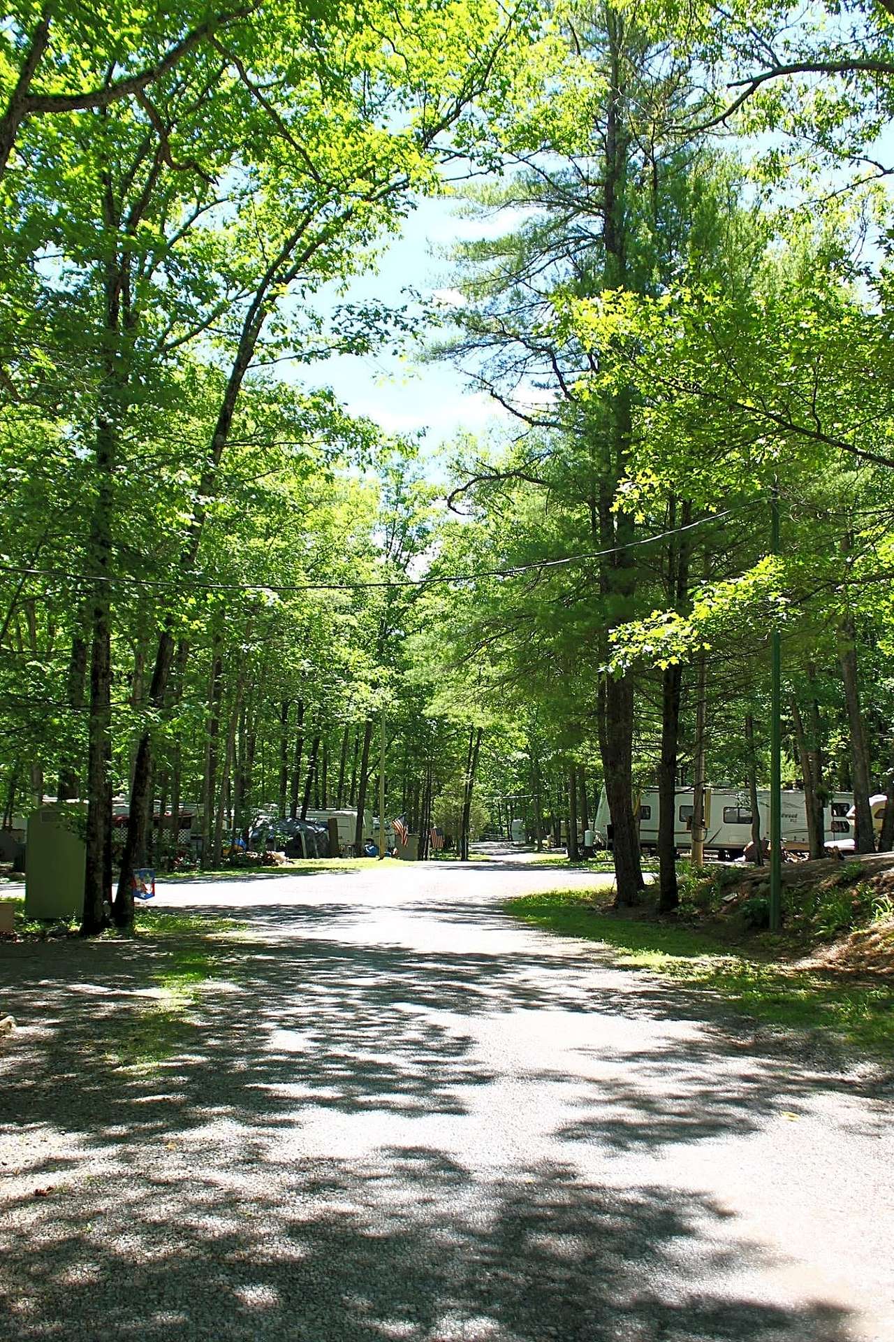 Gray Squirrel Campsites