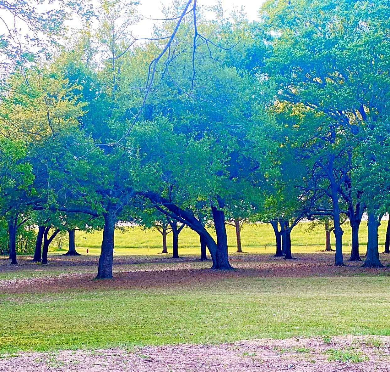 River View RV Park & Resort