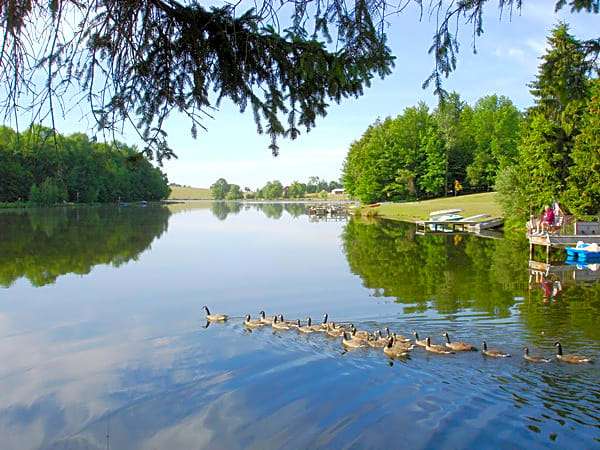 Pine Cradle Lake Family Campground