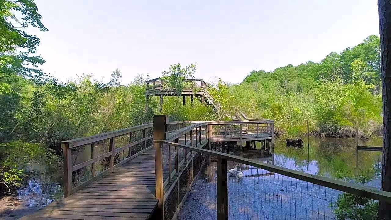 Holly Lake Campsites
