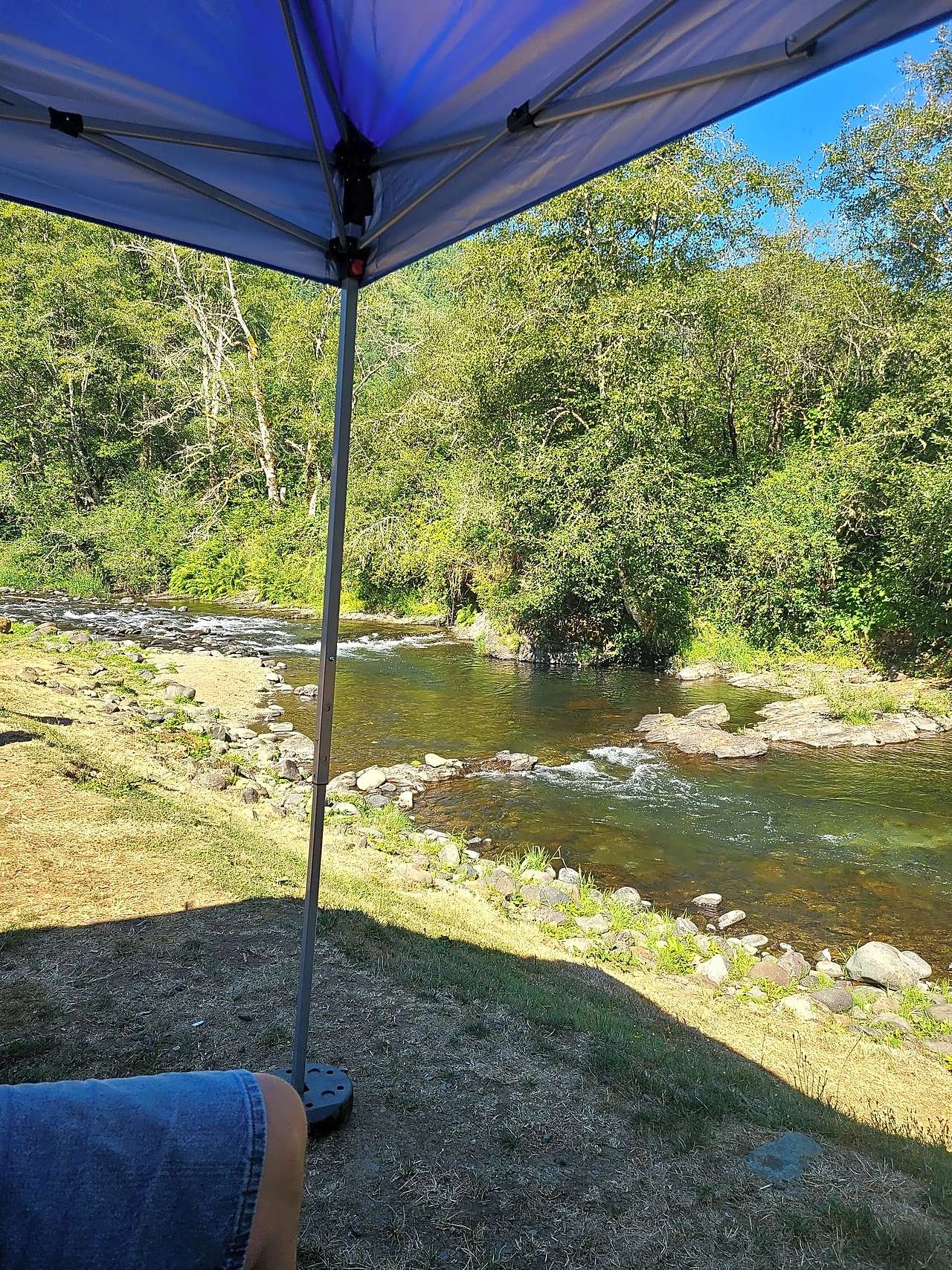 Trask River RV Park