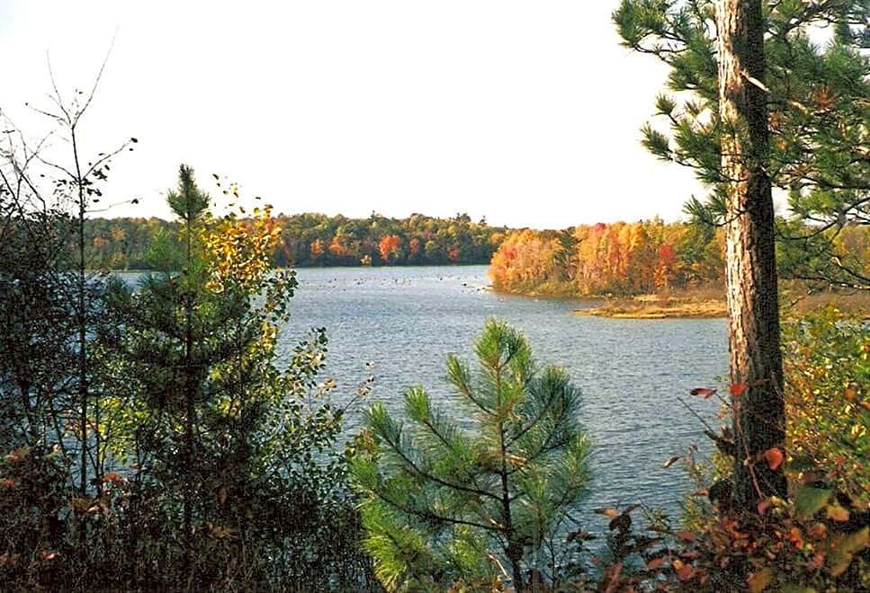 Oscoda County Park