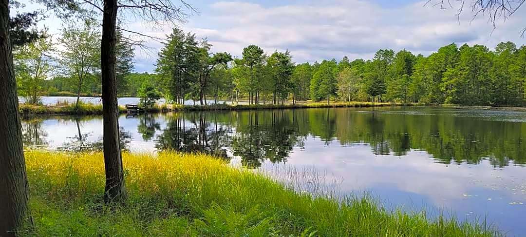 Timberline Lake Camping Resort