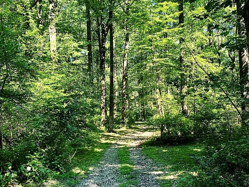 Jugtown Mountain Campsites