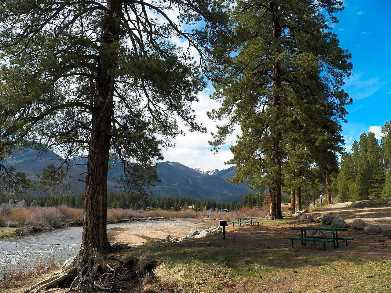 Blue Spruce RV Park & Cabins