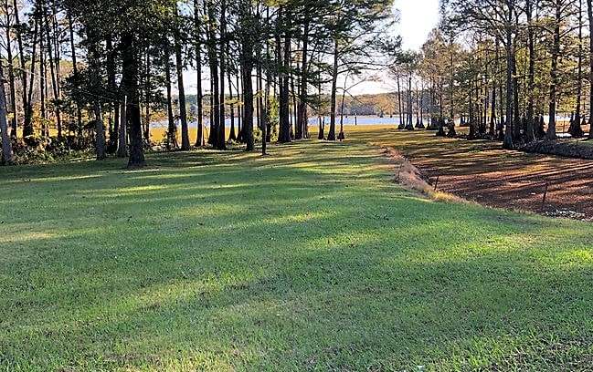 Tucker's Camp
