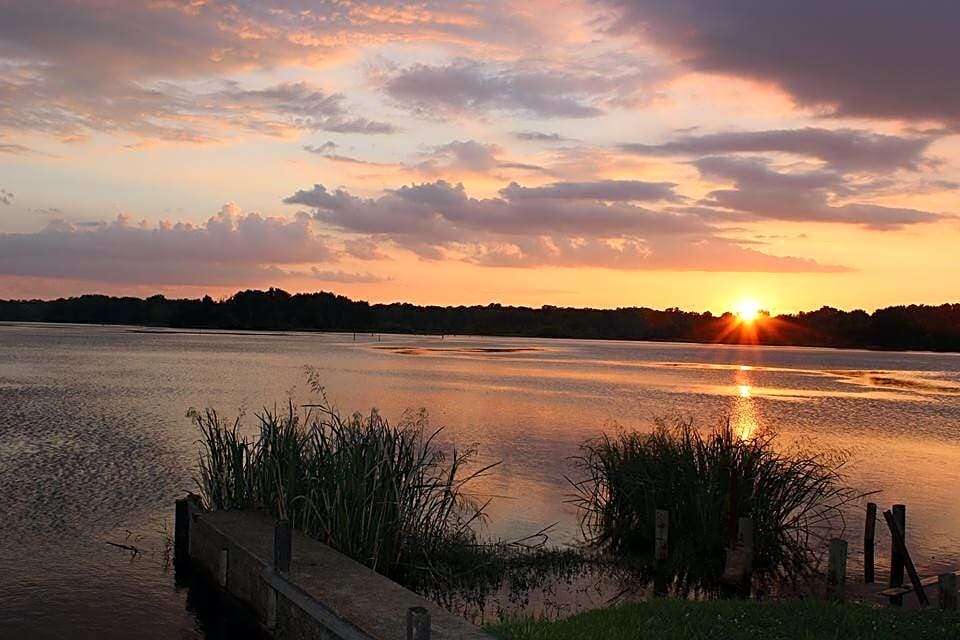 Lake Palestine Resort