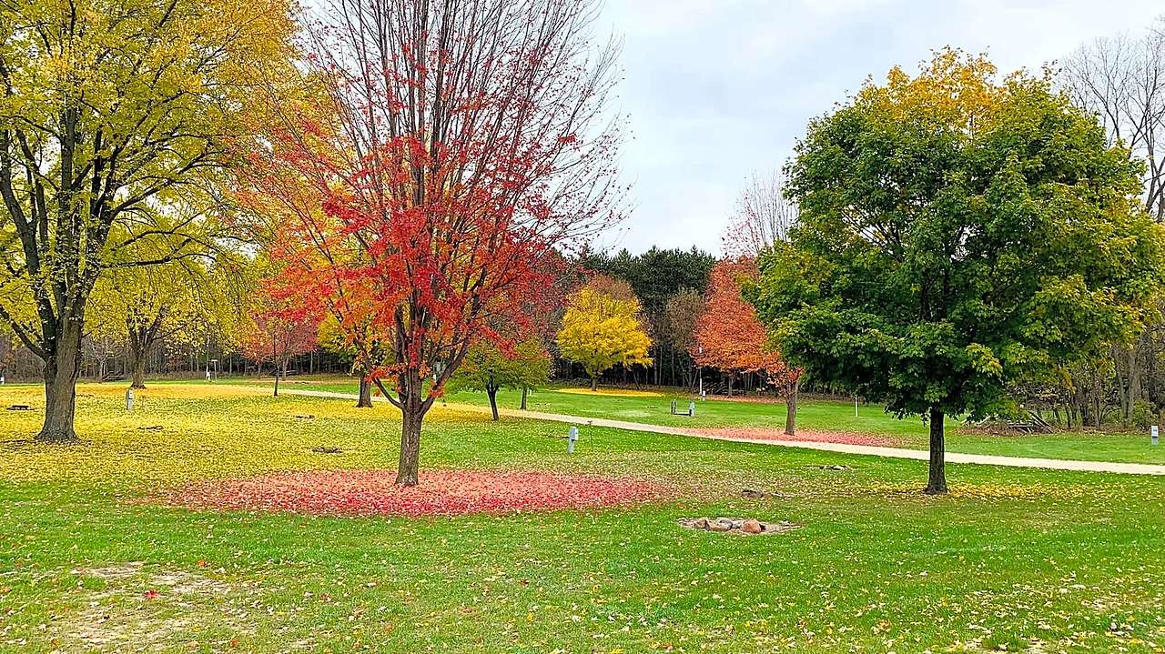 Silver Springs Campsites