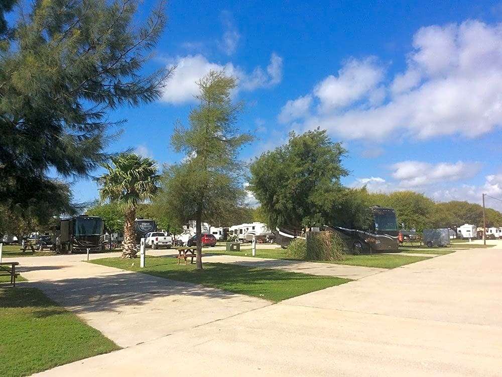 Ancient Oaks RV Park