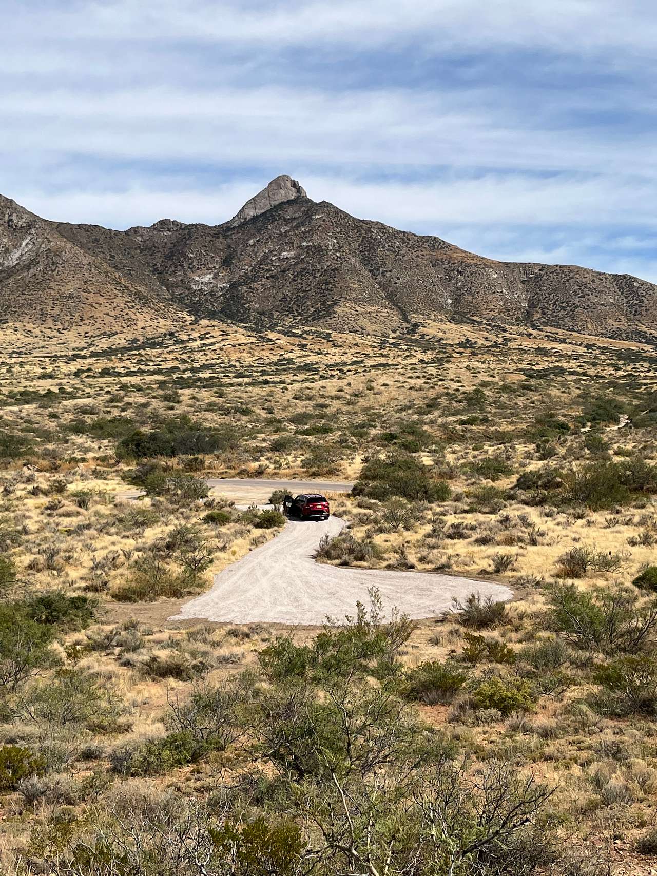 Organ Mountain Views