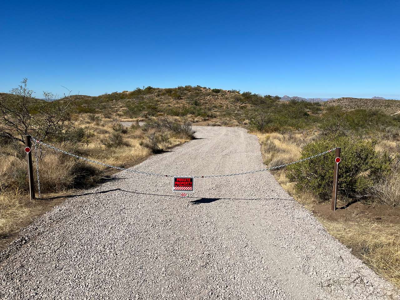Organ Mountain Views