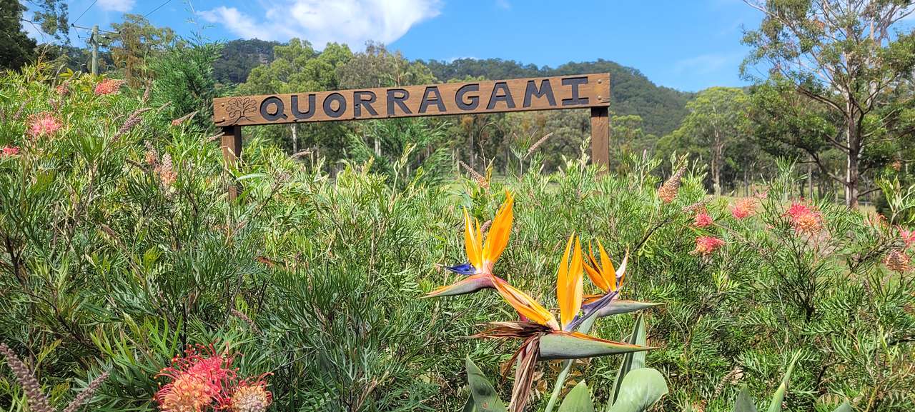 Quorragami