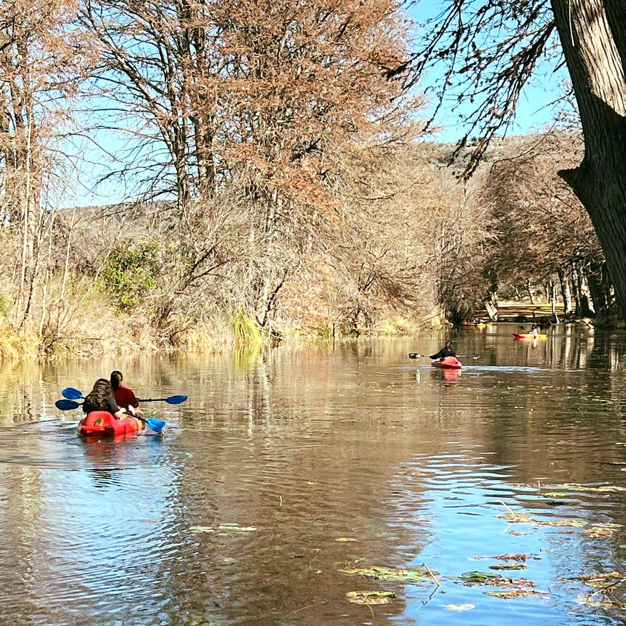 Clear Water Ranch & Resort